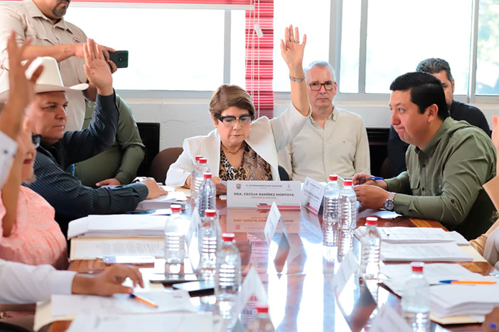 El Cabildo autoriza modificación del Programa Anual de Obras 2025