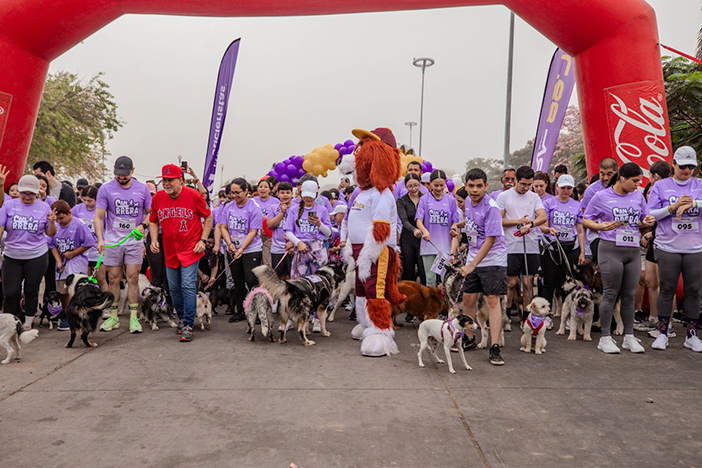 En la Canrrera 2026, la alcaldesa llama a proteger a los animales de la calle